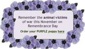 Rememberance Purple Poppies For War Animals Google Search Purple Poppies Remembrance Day Poppies