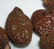 Kandungan mineral herbal ini diketahui ampuh dalam menyuburkan rambut dan membuat rambut lebih sehat dan lebih tebal. Obat Ajaib Warisan Nenek Moyang Kompasiana Com