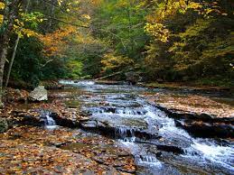Camp creek state park in camp creek is rated 8.7 of 10 at campground reviews. Camp Creek State Forest A West Virginia State Forest Located Near Bluefield Princeton