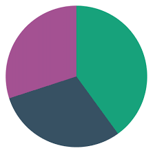 The Most Modern Pie Chart Component Using Css Conic Gradient