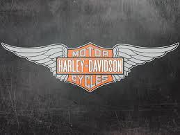 Image result for harley davidson wing
