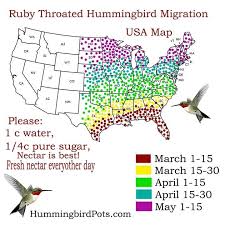 Hummingbird Migration Chart Hummingbirds Hummingbird