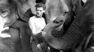 Rescued from his degrading life as a circus freak, merrick is given a chance to live his last years with comfort, respect, and dignity. Tarzan The Ape Man Movie Streaming Online Watch