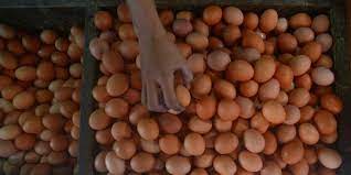 Ayam broiler atau biasa disebut dengan harga telur ayam hari ini yang memiliki daya produktivitas yang sangat tinggi, dengan memiliki telur yang sangat baik untuk dikonsumsi oleh para konsumen, dengan memiliki vitamin dan juga manfaat lainnya yang terdapat di dalam telur ayam tersebut. Harga Telur Ayam Merangkak Naik Jelang Ramadan Merdeka Com