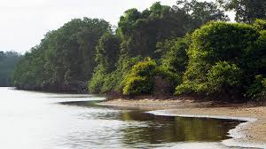 A small population, and oil and mineral reserves, have helped gabon become one of africa's wealthier countries. Gabon Tullow Oil Plc Lse Tlw
