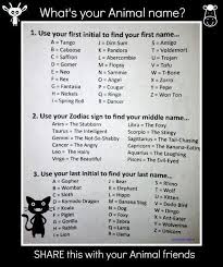 Name Birds That Start With F What Is Your Animal Name Funny Names Name Generator What Is Your Name