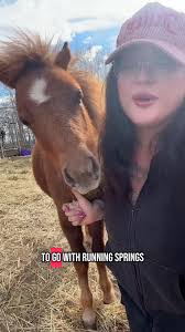 katievanslyke and I decided