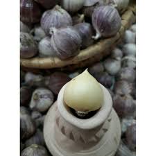 Maybe you would like to learn more about one of these? Bawang Putih Tunggal Lanang Single Garlic Untuk 1kg Harga Promosi Shopee Malaysia