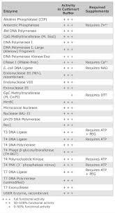 53 Complete Neb Enzyme Compatibility Chart