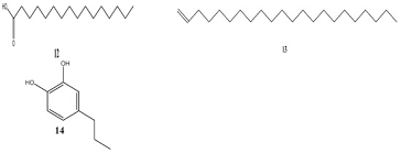 Image result for Priva curtisiae