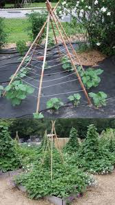 For prolific results, provide cucumber vines with a way to climb, keeping cucumber fruits off the building a trellis requires only simple materials, tools and skills. 15 Easy Diy Cucumber Trellis Ideas A Piece Of Rainbow