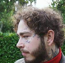 Dakimchi Post Malone Wallpaper Post Malone Post Malone Quotes