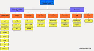 Sunsilk Shampoo Marketing Product Mix And Product Levels