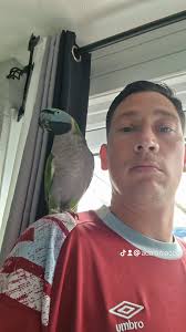 Hi guys, this is Ella, my moustached parakeet, I've had her for nearly 2  weeks now, and have no idea how old she is, what I do know is, she accepted  me