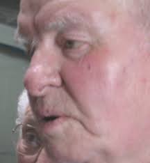 dailyupdates17tulips2005