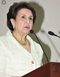 Municipio de Puñal‎