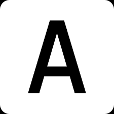 Anam.ai logo