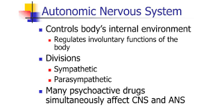 Before sharing sensitive information, make sure you're on a federal government site. Drugs That Affect Autonomic Nervous System Trivia Quiz Proprofs Quiz