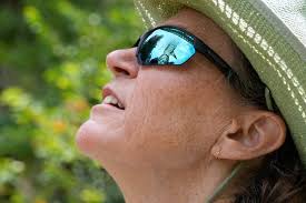 Big Beautiful Bamboo Birds coming to Blithewold