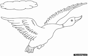 Learn about famous firsts in october with these free october printables. Flying Duck Coloring Pages Easy Peasy Colorings