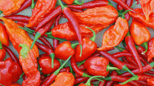 The Top 10 Hottest Peppers In The World You Probably Shouldn