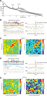 Sequential Neural Activity In Primary Motor Cortex During Sleep Journal Of Neuroscience