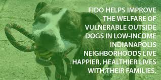 Check spelling or type a new query. Fido Friends Of Indianapolis Dogs Outside