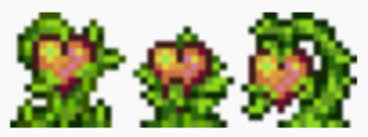 Metal detector is an informational accessory in terraria. R Terraria On Twitter What Life Fruit Looks Like For Those People Who Don T Have A Metal Detector Https T Co Ezdsmpk7u5