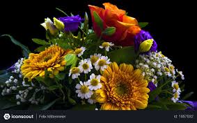 Free Flower Bouquet Photo Download In Png Jpg Format Flowers Bouquet Purple Flowers Wallpaper Bouquet