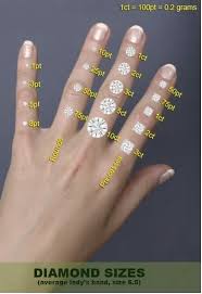 19 Engagement Ring Diagrams That Will Make Your Life Easier Engagement Ring Diagram Engagement Rings Engagement