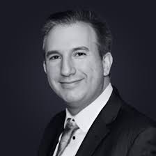 Bildergebnis für David Shapiro