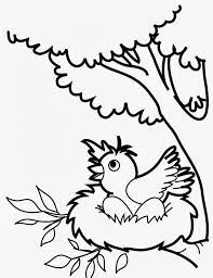These bird coloring pages can serve as a great. Bird Coloring Pages For Preschoolers Coloring Home