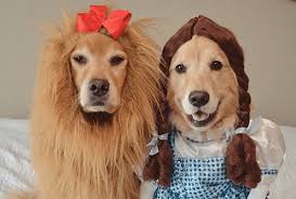 We did not find results for: The Cutest Dog Halloween Costumes On Instagram Fashion Magazine