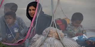 Taliban ise afganistan ve abd'nin barış görüşmeleri konusunda ciddi olmadığını ve kendilerini bölerek zayıflatmaya çalıştıklarını düşünüyor. Jd08dzoauf6tbm