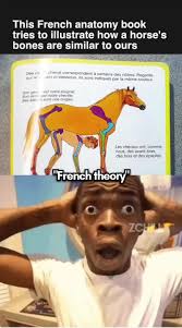 Changing My Mind: Exploring Theories and Science in French Literature