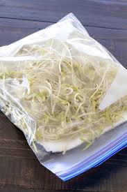 Erin huffstetler is a writer with experience writing about easy ways to save money at home. Grow Your Own Mung Bean Sprouts At Home La Fuji Mama