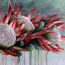 Pin By Ria Viljoen On Proteas Protea Art Art Painting Botanical Art