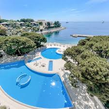 Image result for Summer Sand 1972 Monaco