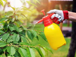 A tow behind sprayer can help. The 5 Best Chemical Sprayers Of 2021 This Old House