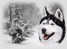 With tenor, maker of gif keyboard, add popular anime wolf animated gifs to your. 47 Animated Wolf Wallpaper On Wallpapersafari