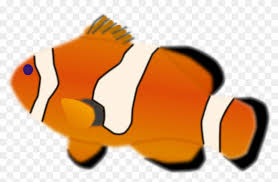 aquarium fish animated clown fish gif free transparent png clipart images download aquarium fish animated clown fish gif