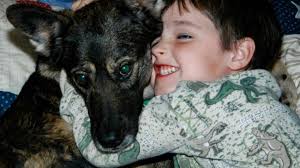 Fundraiser by Meghan Ranslem : Canyon's Memorial Fund