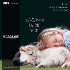 Her Canlinin Sevgiye Ve Korunmaya Ihtiyaci Var 4 Ekim Dunya Hayvanlari Koruma Gunu Kutlu Olsun Hayvanlar Hayvan Iman