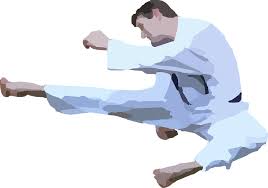 Download Karate Clipart Silhouette Icons Png Free Png And Icons Downloads