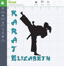 Download Karate Girl Water Bottle Cathy Crafts