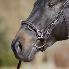 Equipment you will need for lunging, using a roller and bungee this is how i lunge my gelding. Lunging Equipment Lunge Cavesson Kieffer Ultrasoft Kieffer En