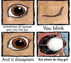 Thanks I Hate Eyelashes In My Eyes Tihi