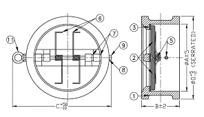 Dual Plate Check Valve (DPCV) - Thorat Valves
