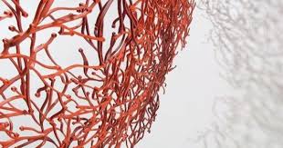 Separation Design Algue Par Ronan Erwan Bouroullec Jo Yana Algues Objet Design Ronan Erwan Bouroullec