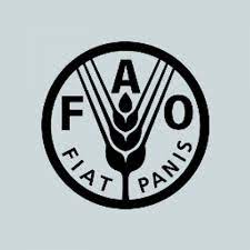 1 628 442 tykkäystä · 3 197 puhuu tästä. Fao Unfao Twitter